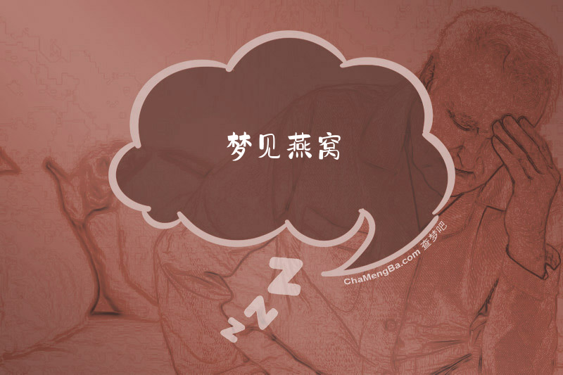 梦见燕窝