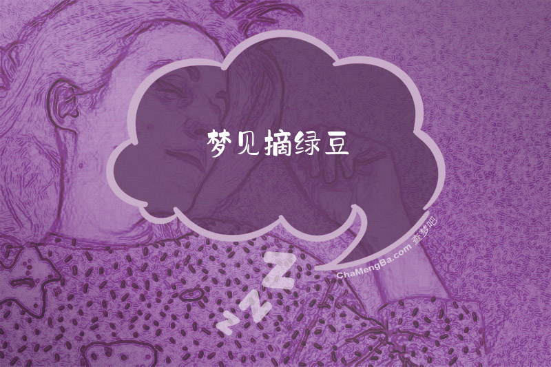 梦见摘绿豆