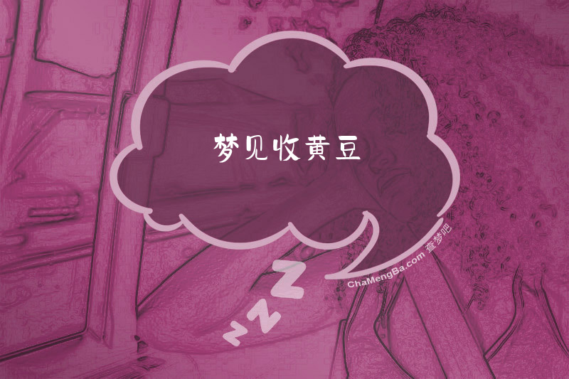 梦见收黄豆