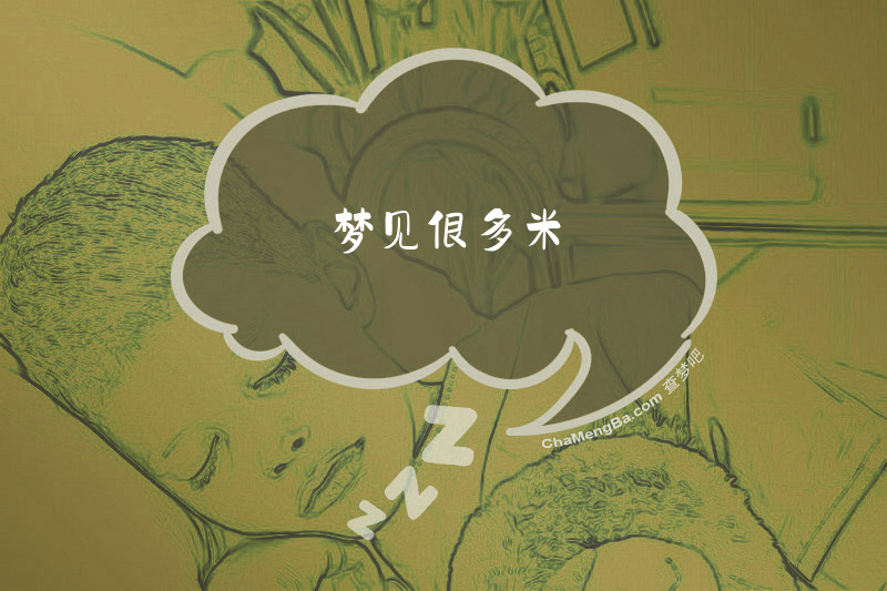 梦见很多米