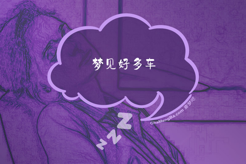 梦见好多车