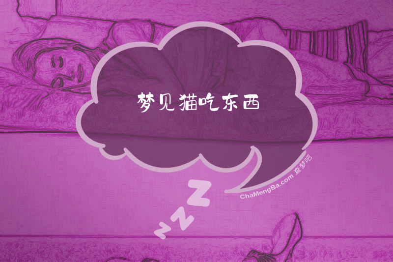 梦见猫吃东西