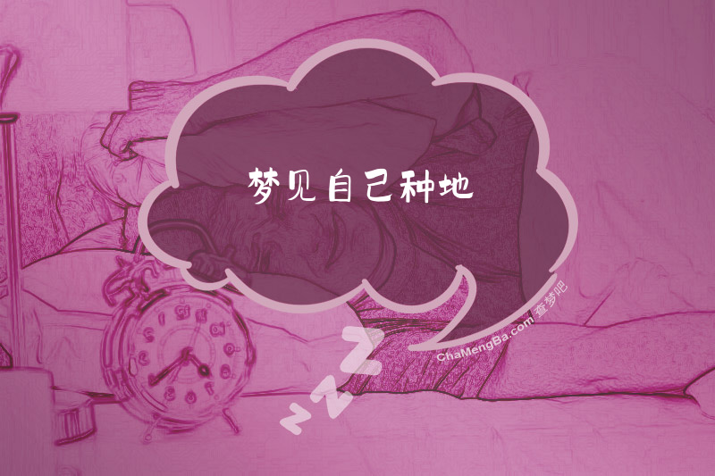 梦见自己种地