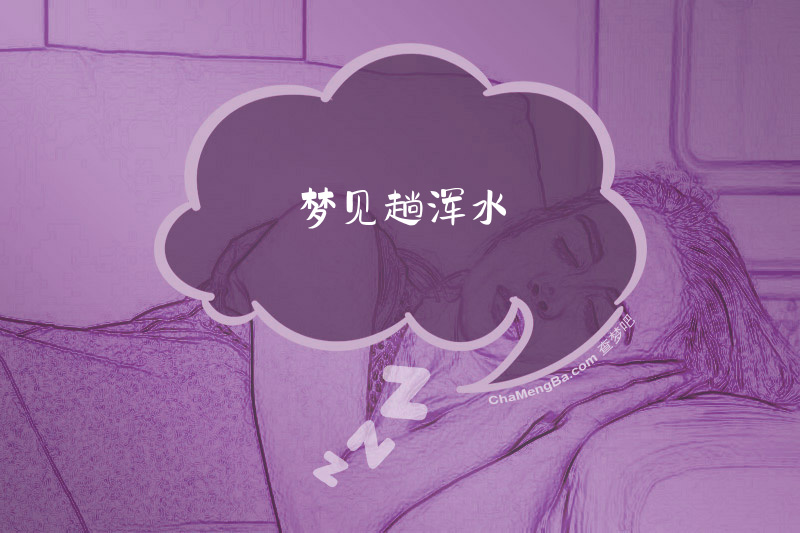梦见趟浑水
