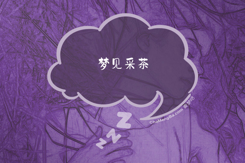 梦见采茶
