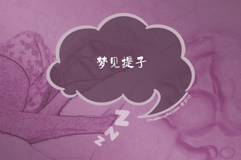 梦见提子