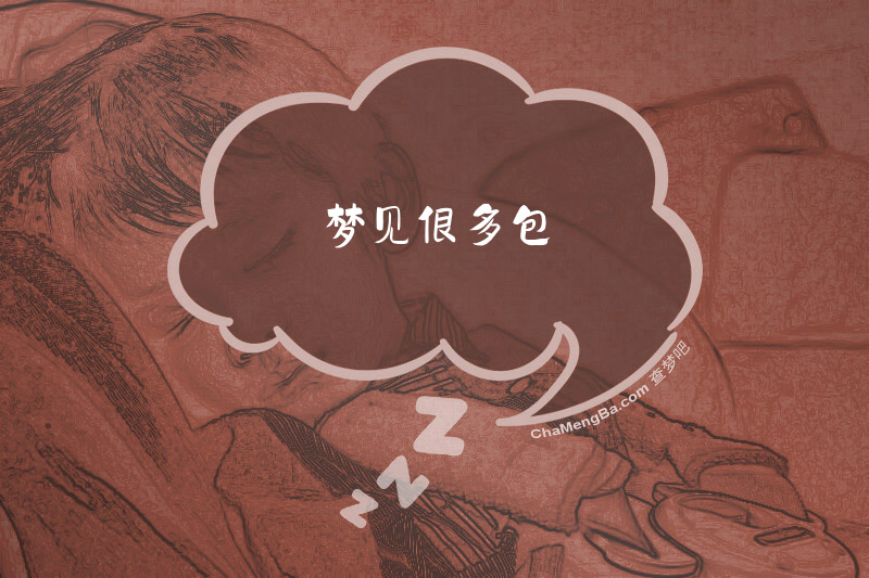 梦见很多包