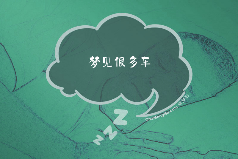 梦见很多车