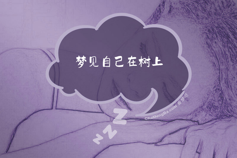 梦见自己在树上