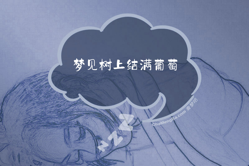 梦见树上结满葡萄