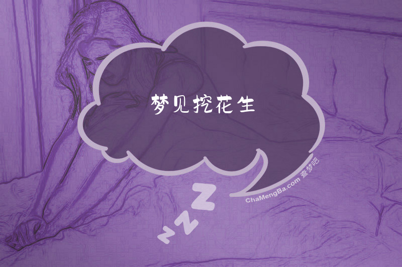 梦见挖花生