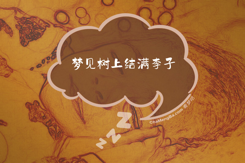 梦见树上结满李子