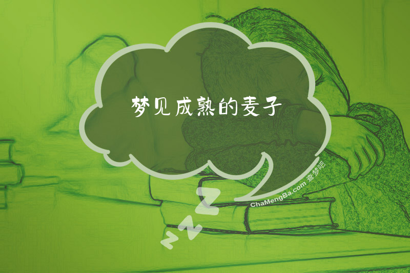 梦见成熟的麦子