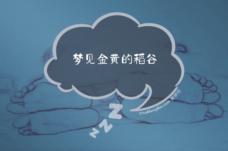 梦见金黄的稻谷