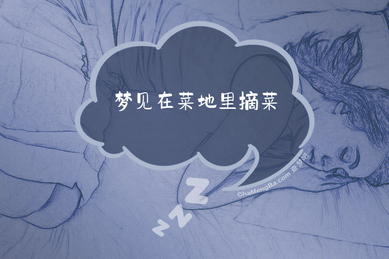 梦见在菜地里摘菜