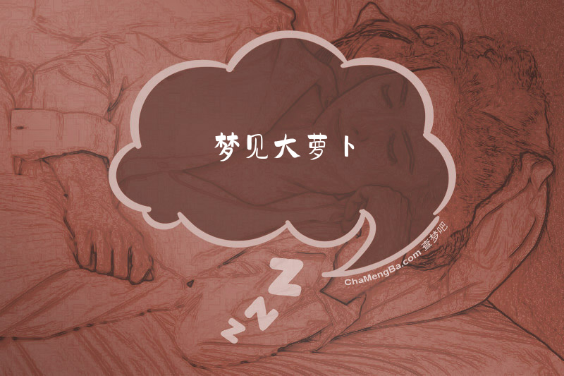 梦见大萝卜