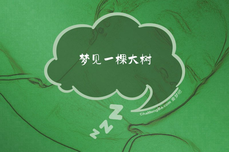 梦见一棵大树