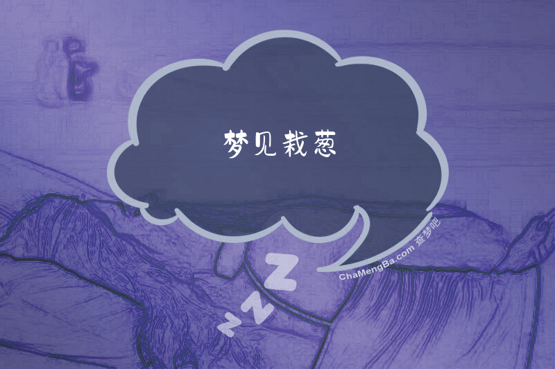 梦见栽葱