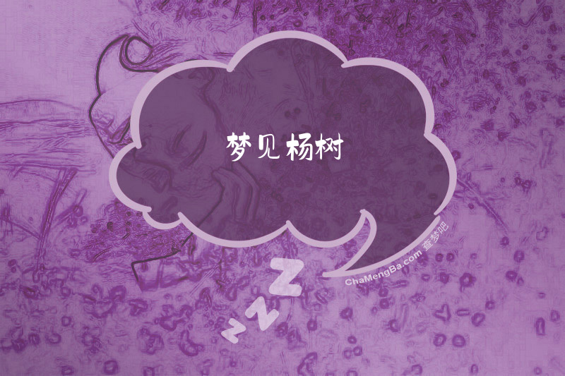 梦见杨树