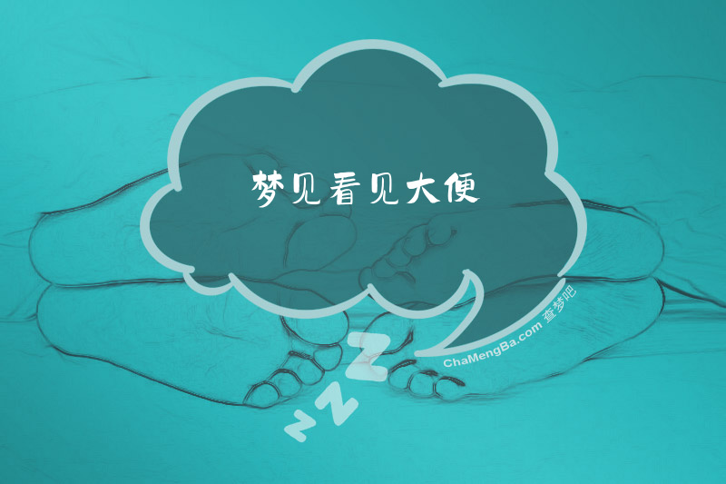 梦见看见大便
