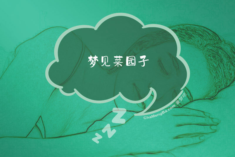梦见菜园子