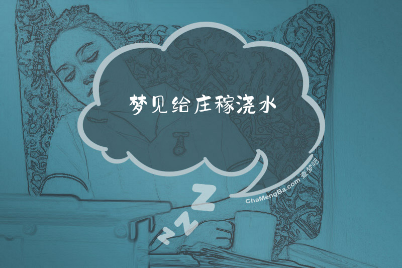 梦见给庄稼浇水