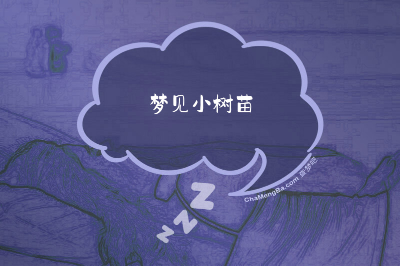 梦见小树苗