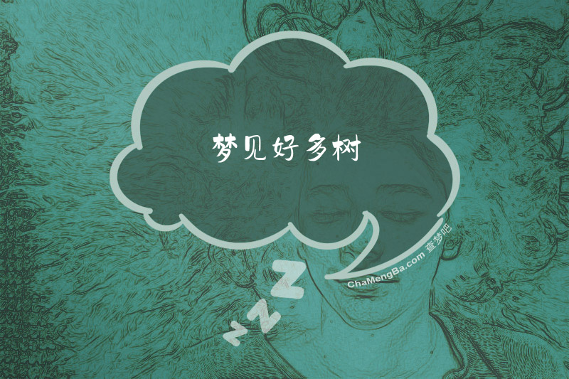 梦见好多树