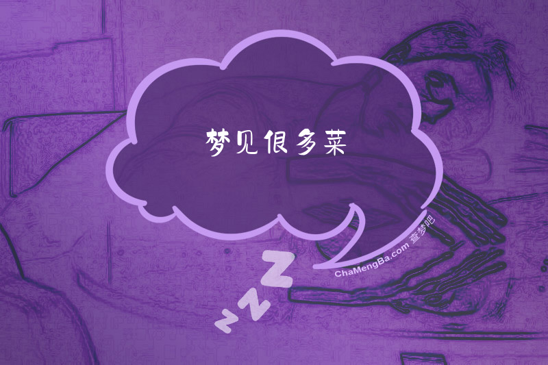 梦见很多菜