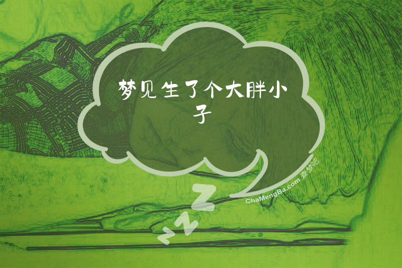 梦见生了个大胖小子