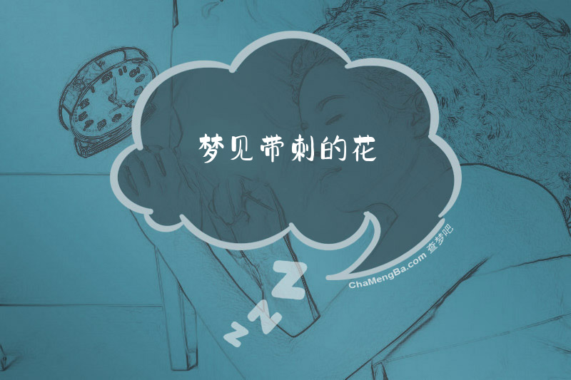 梦见带刺的花