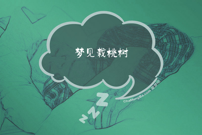 梦见栽桃树
