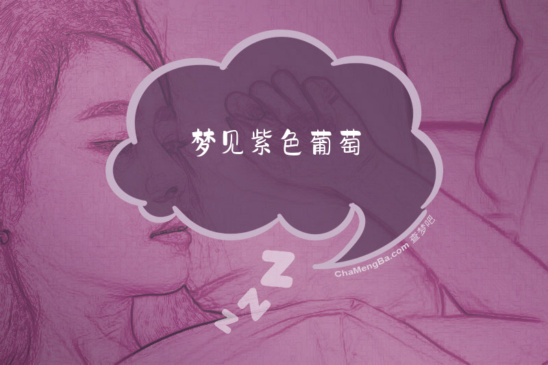 梦见紫色葡萄