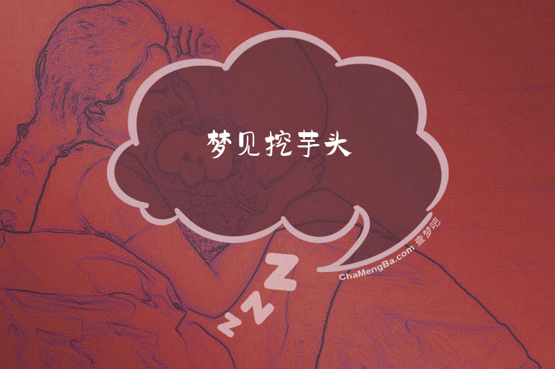 梦见挖芋头