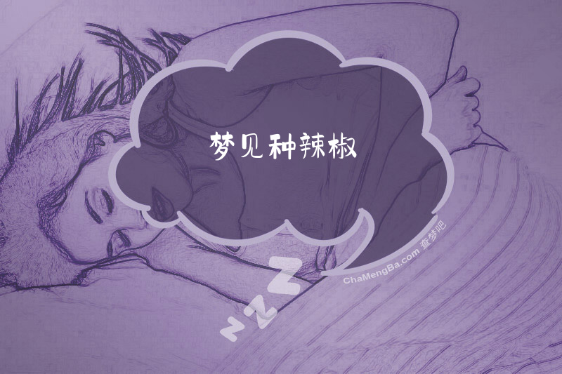 梦见种辣椒