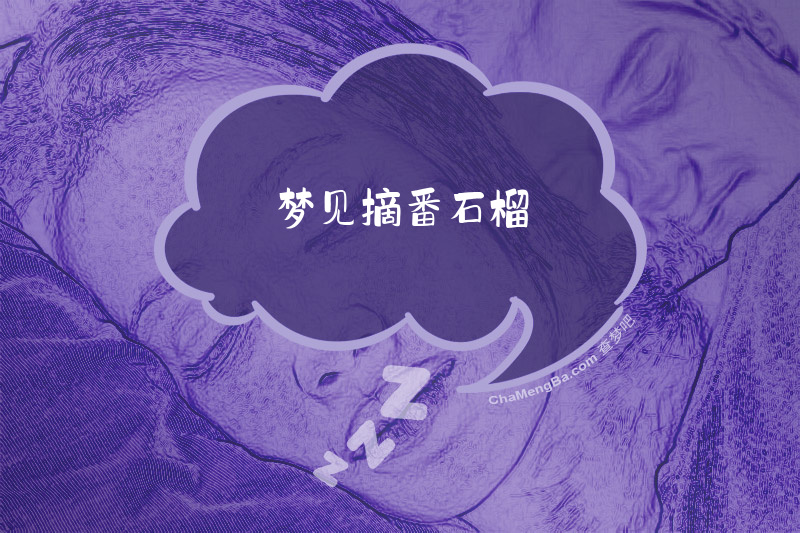 梦见摘番石榴