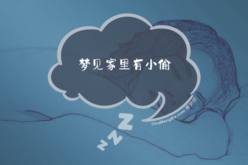梦见家里有小偷