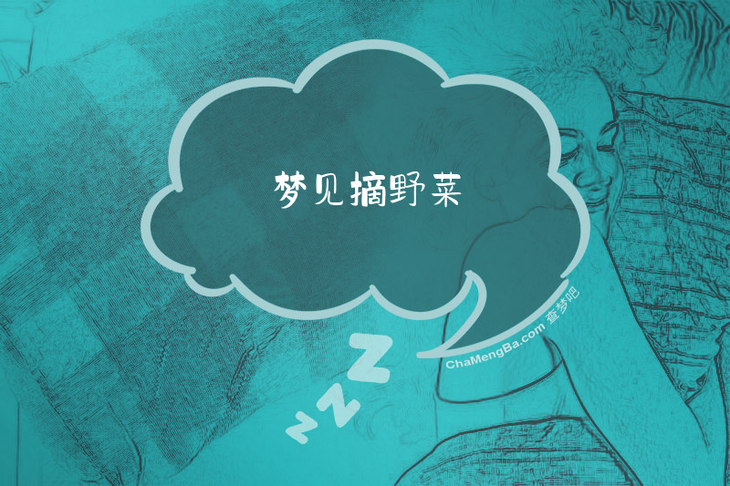 梦见摘野菜