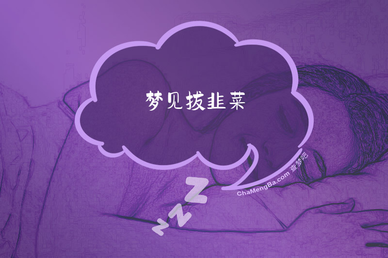 梦见拔韭菜