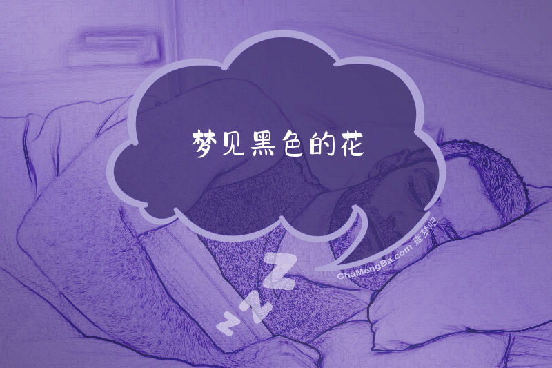 梦见黑色的花