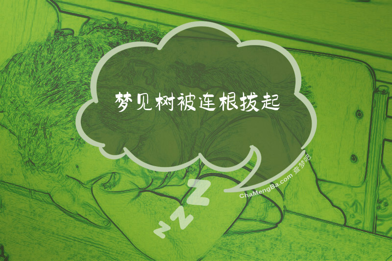 梦见树被连根拔起