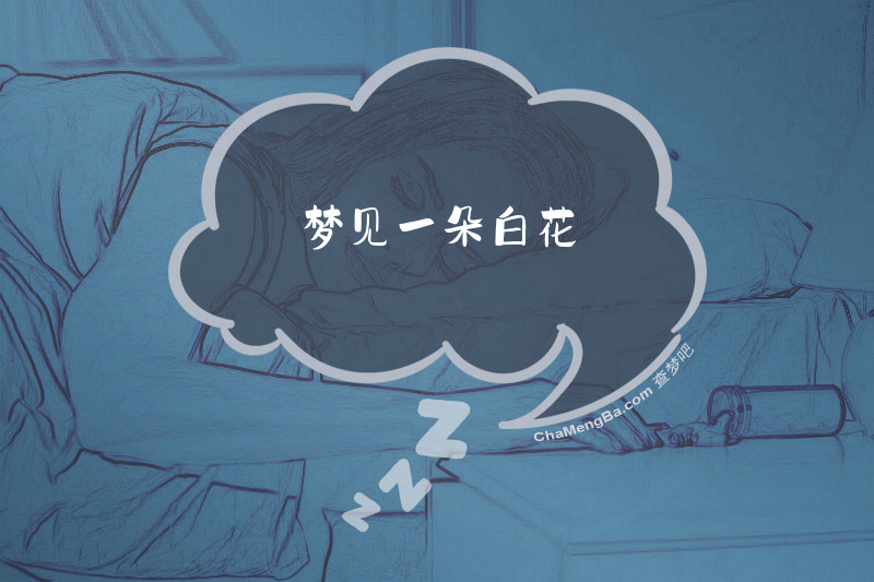 梦见一朵白花