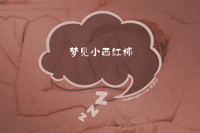 梦见小西红柿