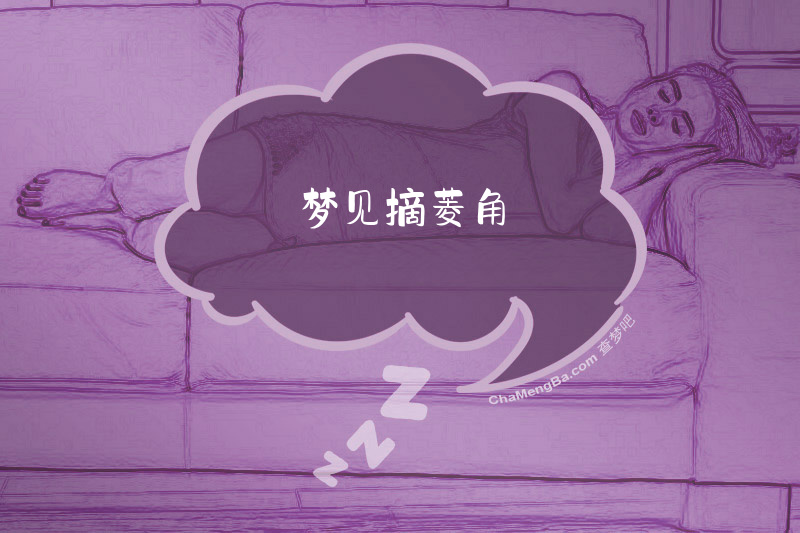 梦见摘菱角