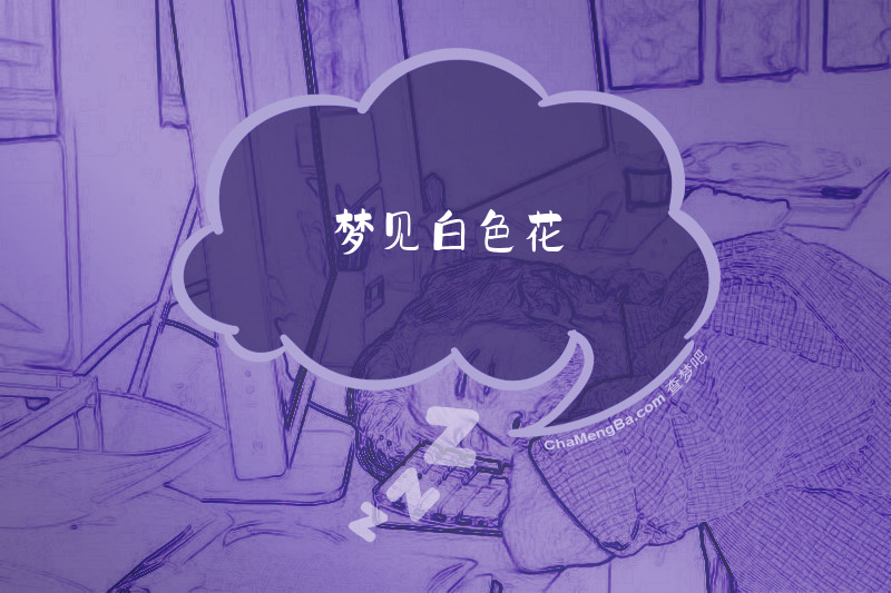 梦见白色花