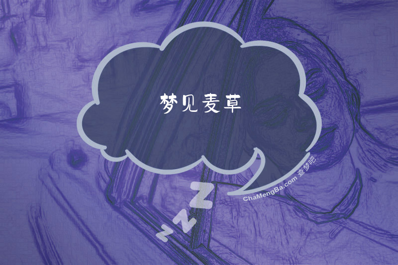 梦见麦草