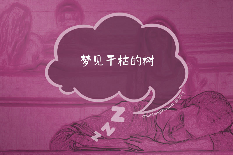 梦见干枯的树