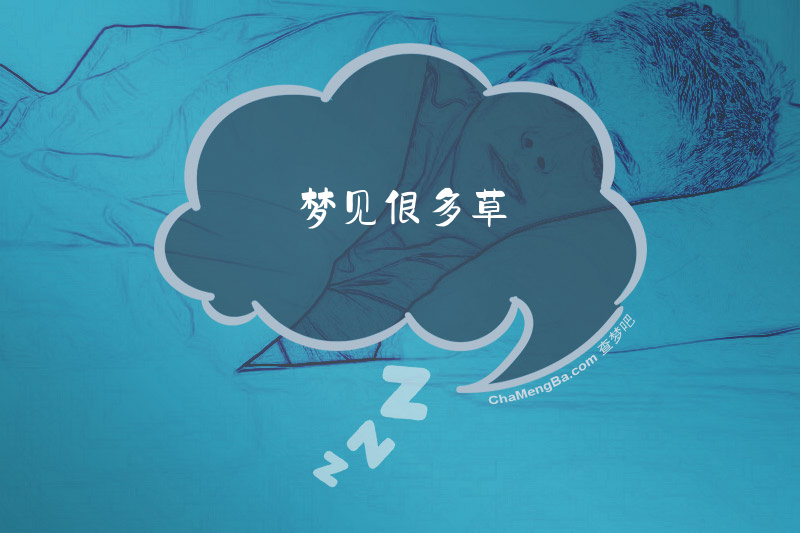 梦见很多草