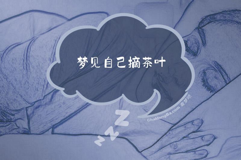 梦见自己摘茶叶
