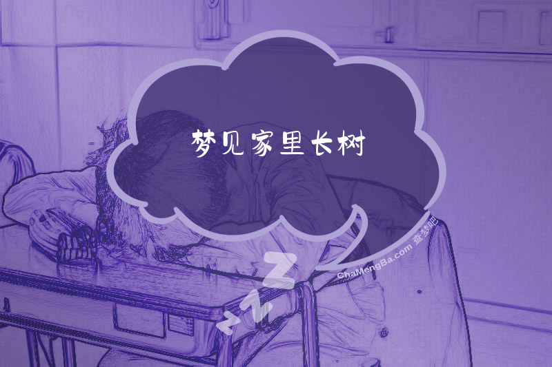 梦见家里长树